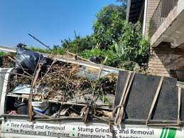 Best Shed Removal  in Allendale, MI